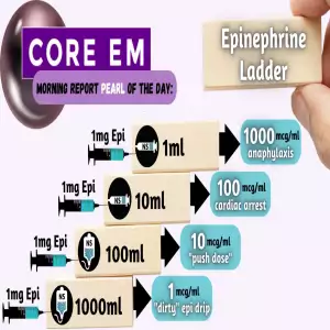 Epinephrine Ladder